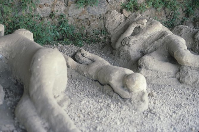 Pompeii and Mount Vesuvius Day Trip from Rome with Pizza Lunch - The geologist walk: a smarter choice for some
