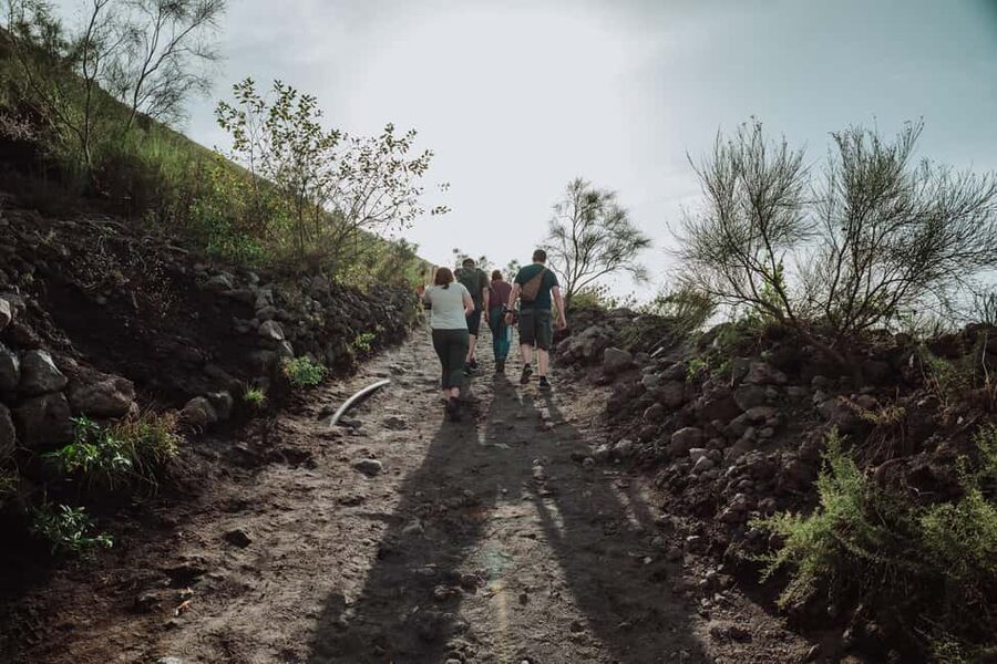Pompeii and Mount Vesuvius excursion from Naples - The break between volcano and ruins