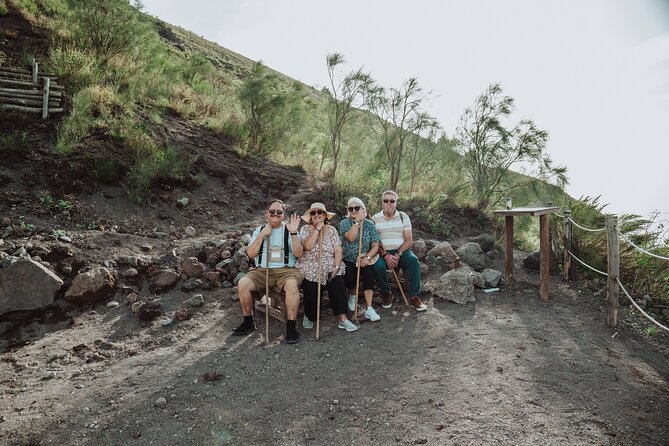 Pompeii and Mount Vesuvius Small Group Tour from Naples - Climbing Mount Vesuvius with an audioguide