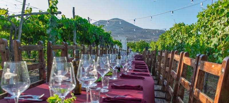 Pompeii and Vesuvius Cellars: Tour with Pick-Up in Positano - Two hours among Pompeii’s buried streets