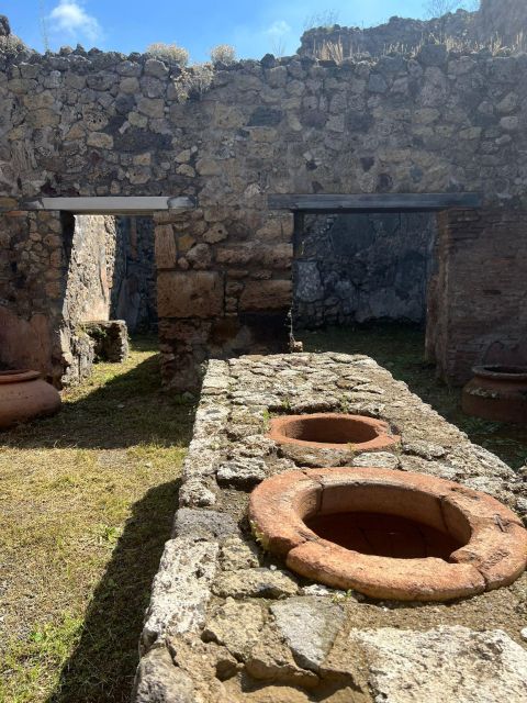 Pompeii and Vesuvius Cellars: Tour with Pick-Up in Positano - What the guide adds to the ancient city