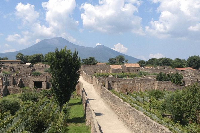 Pompeii and Vesuvius Day Trip from Naples with Lunch - What the mixed feedback means