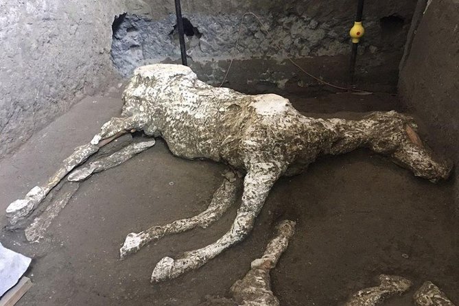 Pompeii and Vesuvius Day Trip from Naples with Lunch - Who should book this tour?
