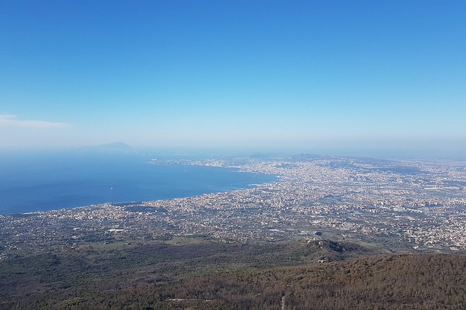 Pompeii and Vesuvius Day Trip from Naples with Skip The Line - Who will enjoy this day trip most?