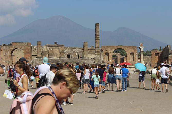 Pompeii and Vesuvius from Naples. Private activity - Returning to Naples after a full eight-hour day