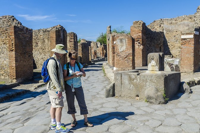 Pompeii and Vesuvius Full Day Private Shore Excursion - Pompeii’s theaters and the transfer to Vesuvius