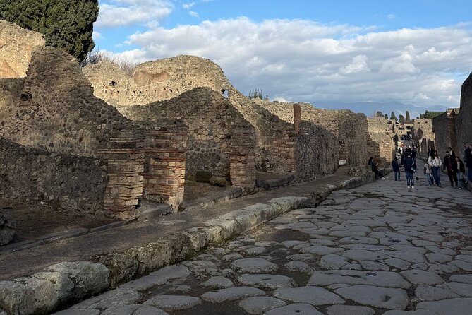 Pompeii and Vesuvius Private Tour from Naples - A short break before Vesuvius