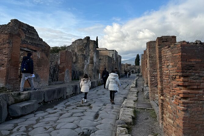 Pompeii and Vesuvius Private Tour from Naples - Three hours among Pompeii’s streets