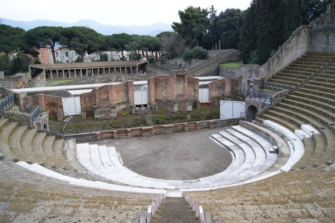 Pompeii and Vesuvius Small Group Tour From Naples with Pizza - The Vesuvius climb at 1,000 meters