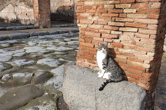 Pompeii and Vesuvius Tour with Pickup - Getting to the starting point in Castellammare di Stabia