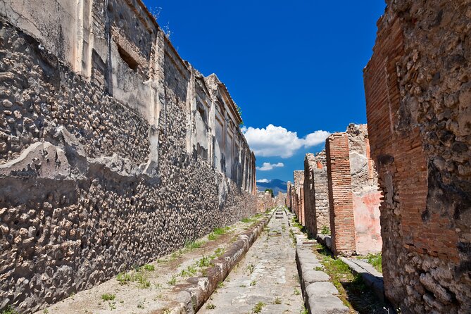 Pompeii and Vesuvius Wine Tasting Private Tour - Key points to know before booking