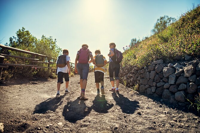 Pompeii and Vesuvius Wine Tasting Private Tour - Pompeii: two hours among the buried streets