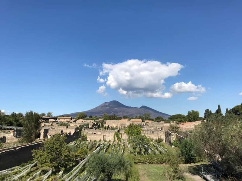 Pompeii: Archeological Tour & Wine Tasting at Mt. Vesuvius - What two hours in Pompeii really means