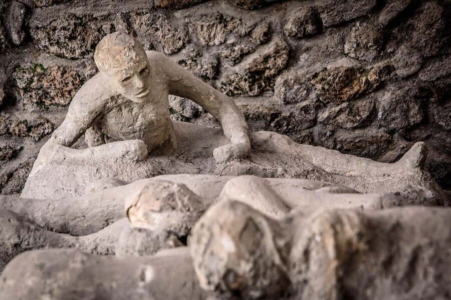 Pompeii: Archeological Tour & Wine Tasting at Mt. Vesuvius - Four wines and a full Vesuvian lunch