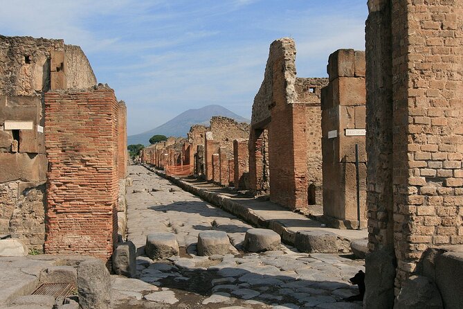Pompeii Excavations and Mount Vesuvius Tour from Naples Port - Is $228.56 a fair price?
