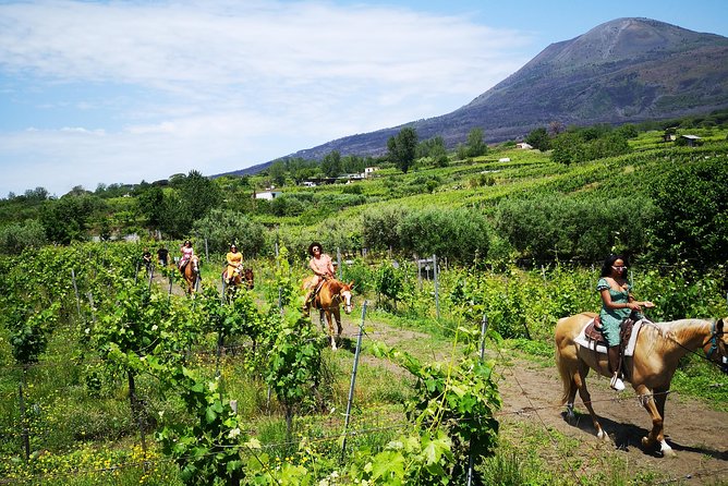 Pompeii Guided Tour & Horse Riding on Vesuvius with Lunch - Starting at Pompeii with a guide