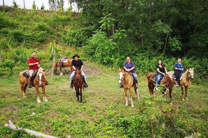 Pompeii Guided Tour & Horse Riding on Vesuvius with Lunch - Transport, group size, and the value of $240.65