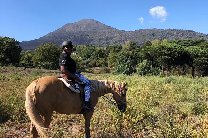 Pompeii Guided Tour & Horse Riding on Vesuvius with Lunch - What two hours at Pompeii can and cannot do