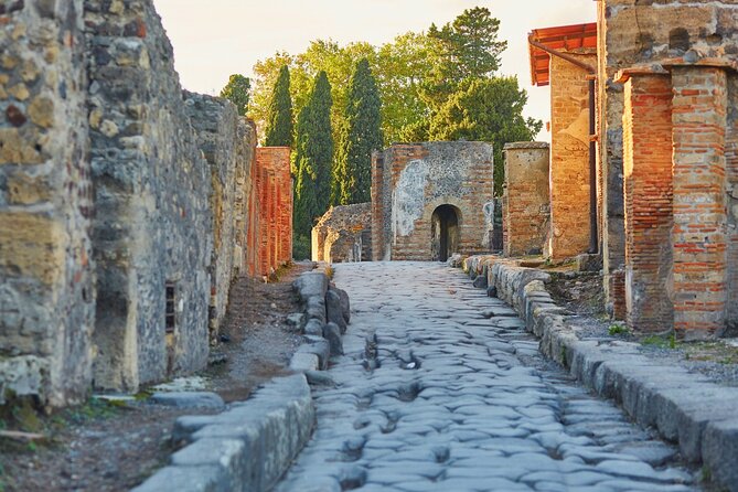 Pompeii, Herculaneum and Mount Vesuvius Private Tour from Naples - Key points to know before booking