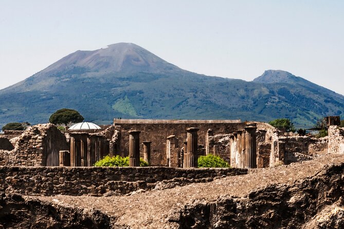 Pompeii, Herculaneum and Mount Vesuvius Private Tour from Naples - Why this Naples day trip works
