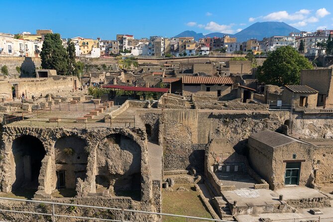 Pompeii, Herculaneum and Mount Vesuvius Private Tour from Naples - Going up Mount Vesuvius