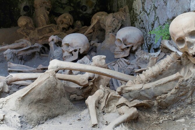 Pompeii, Herculaneum and Mount Vesuvius Private Tour from Naples - Is $1,890.06 per person good value?