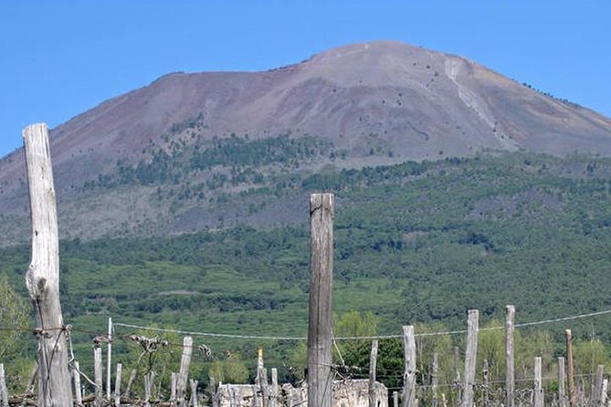 Pompeii, Herculaneum and Vesuvius Private Guided Tour - Pompeii in two hours, the broad Roman city