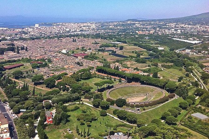 Pompeii, Herculaneum and Vesuvius Private Guided Tour - The real cost is higher than the tour price