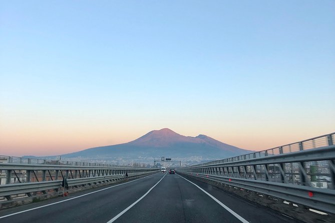 Pompeii, Herculaneum and Vesuvius Private Guided Tour - Who will enjoy this demanding day