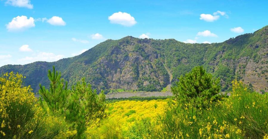 Pompeii, Herculaneum and Vesuvius Tour - Mount Vesuvius: 1.5 hours above the buried towns