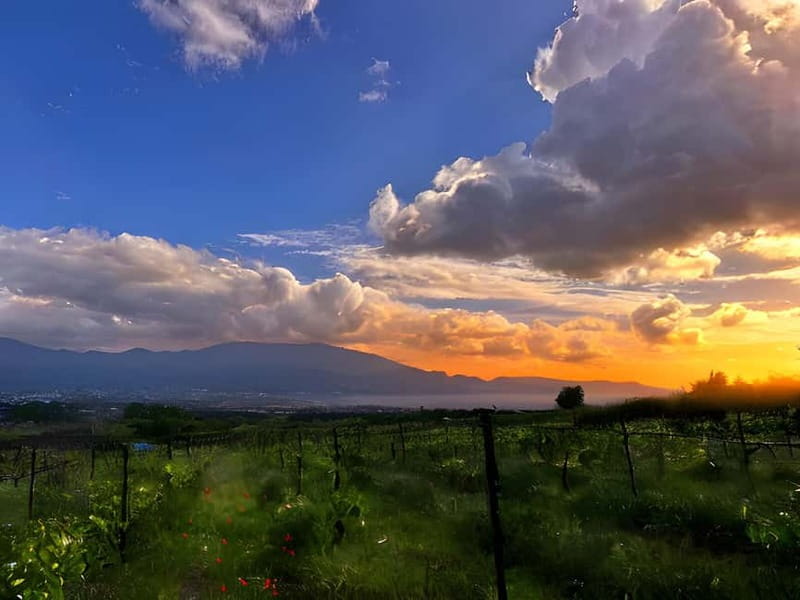 Pompeii: Mount Vesuvius Night Horseback Ride and Italian BBQ - The one-hour horseback ride through the vineyards
