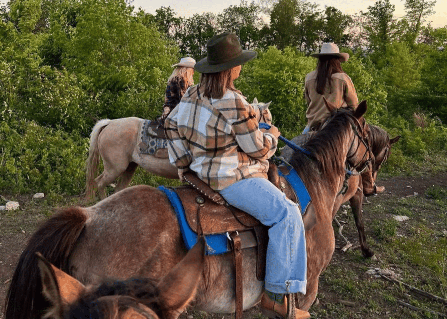 Pompeii: Mount Vesuvius Night Horseback Ride and Italian BBQ - Who will enjoy this evening most?