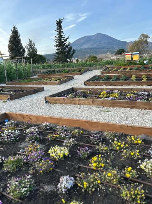 Pompeii: Mount Vesuvius Night Horseback Ride and Italian BBQ - Pickup from Pompeii and nearby towns