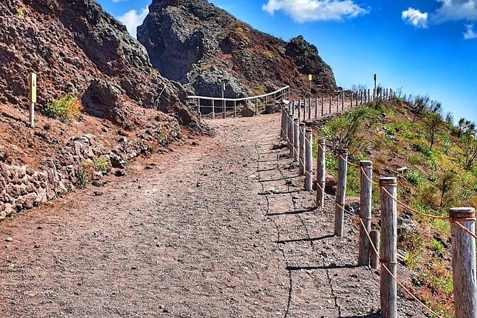 Pompeii & Mount Vesuvius Tour with Guided Visit, Tickets & Lunch - A winery lunch on the slopes of Vesuvius