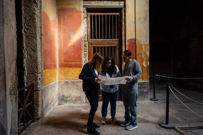 Pompeii & Mt.Vesuvius Day Tour from Naples with Pizza Lunch - Walking through Pompeii in two hours