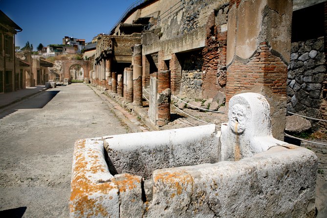 Pompeii, Mt. Vesuvius, Herculaneum Private Tour - What the $398.44 price really buys you