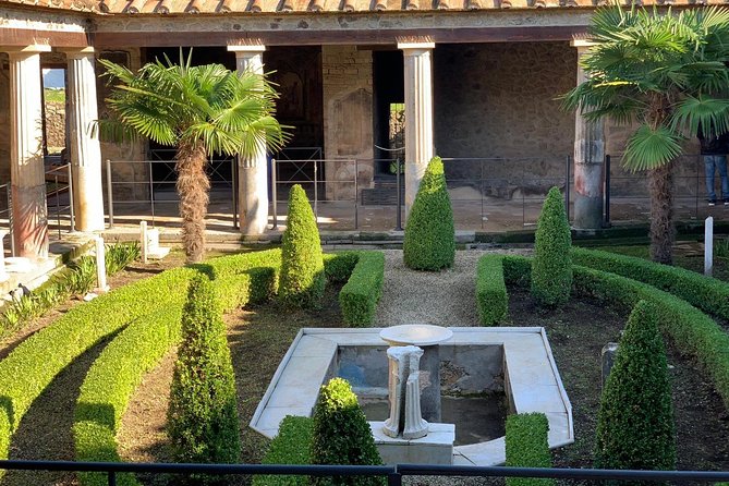 Pompeii & Mt.Vesuvius Private Tour (All inclusive package) - Final verdict