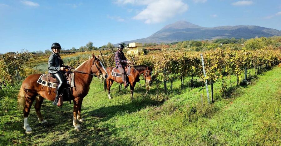 Pompeii: Ruins Tour and Mount Vesuvius Horseback Ride - The Transfer to Mount Vesuvius