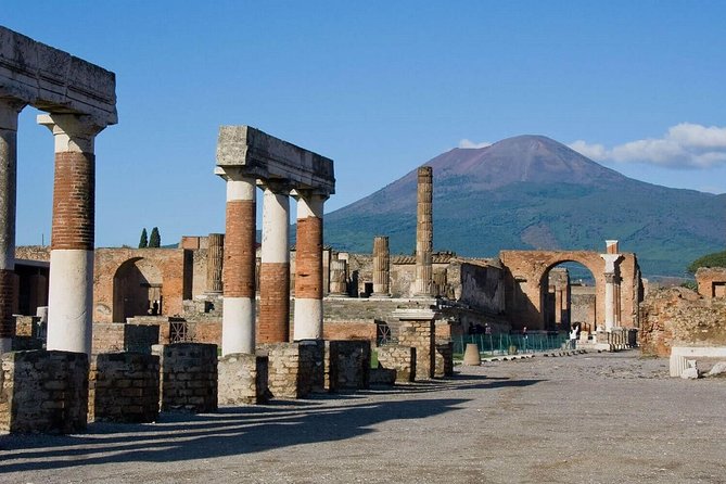 Pompeii Ruins & Wine Tasting with Lunch on Vesuvius with Private Transfer - Pompeii in two hours: powerful, but very brisk