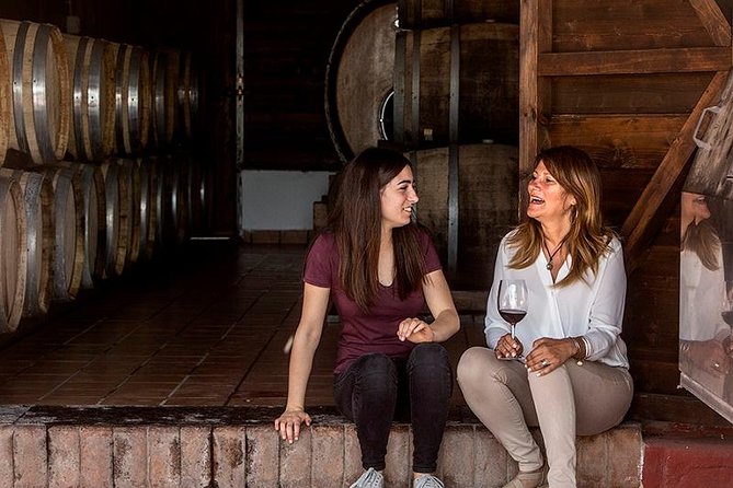 Pompeii Ruins & Wine Tasting with Lunch on Vesuvius with Private Transfer - Who should book this experience?