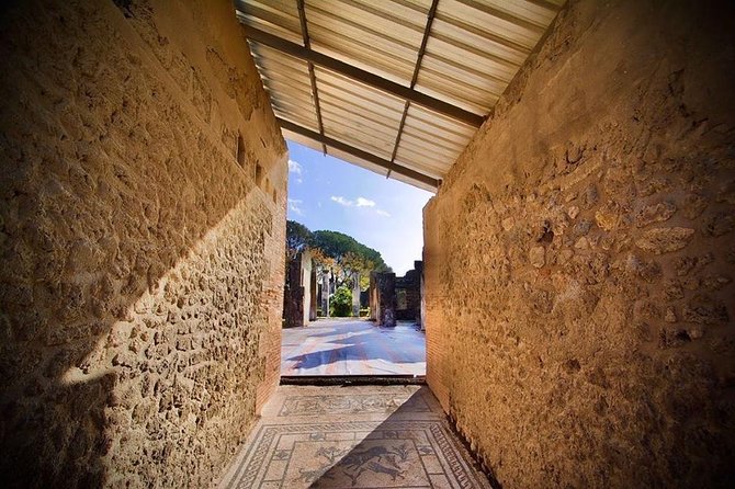 Pompeii Small Group Tour & Food/Wine tasting at Mt. Vesuvius - Why this Pompeii and Vesuvius pairing works