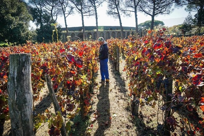 Pompeii Small Group Tour & Food/Wine tasting at Mt. Vesuvius - Two hours inside Pompeii with an archaeologist