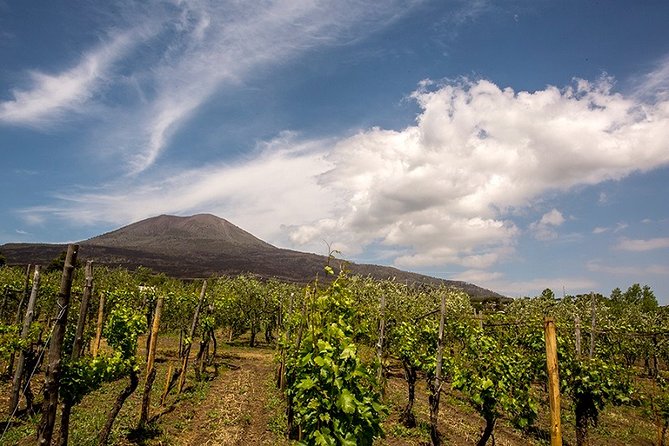 Pompeii Small Group Tour & Food/Wine tasting at Mt. Vesuvius - From the ruins to Casa Setaro Winery