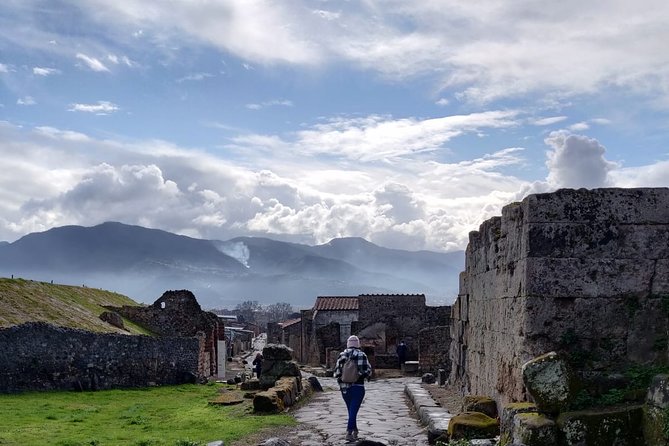 Pompeii to Vesuvius Tour with Skip-the-Line Tickets to Ruins & Volcanic Crater - Exploring Pompeii in two hours and 30 minutes