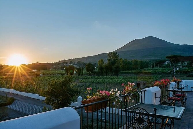 Pompeii Tour, Lunch and Vesuvius Wine Tasting - Pompeii with an archaeologist guide