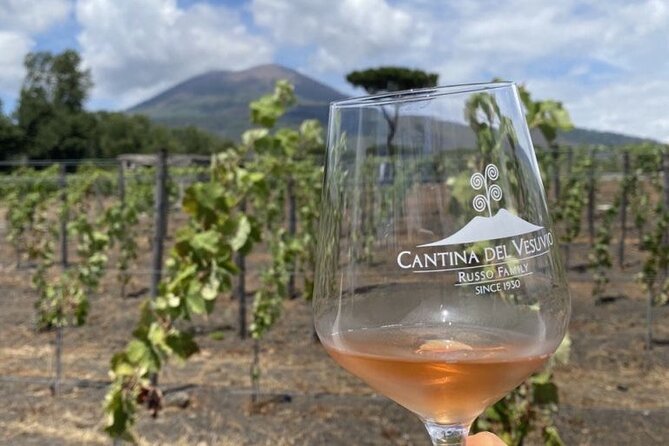Pompeii Tour, Lunch and Vesuvius Wine Tasting - Tenuta Sorrentino and the volcanic vineyards