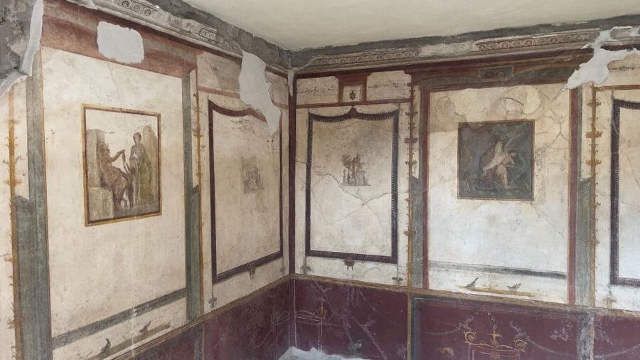 Pompeii - Vesuvius & Wine from Amalfi Coast all inclusive - A guide-led day with a human touch