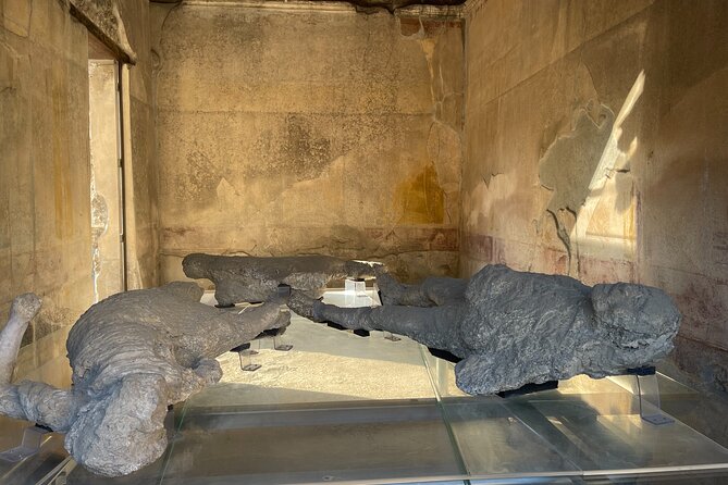 Pompeii, Vesuvius & wine tasting from Positano all inclusive - What $318.21 per person buys you