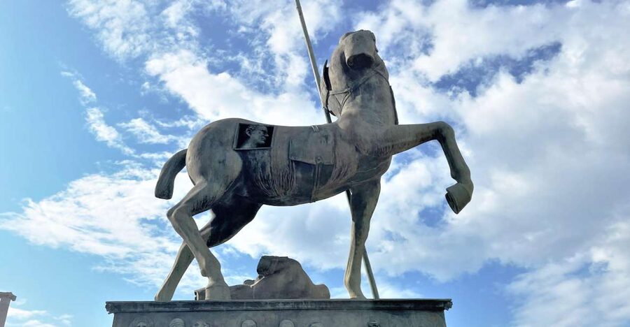 Pompeii-Vesuvius & Winery All Inclusive Tour From Positano - Should you book this Positano day trip?