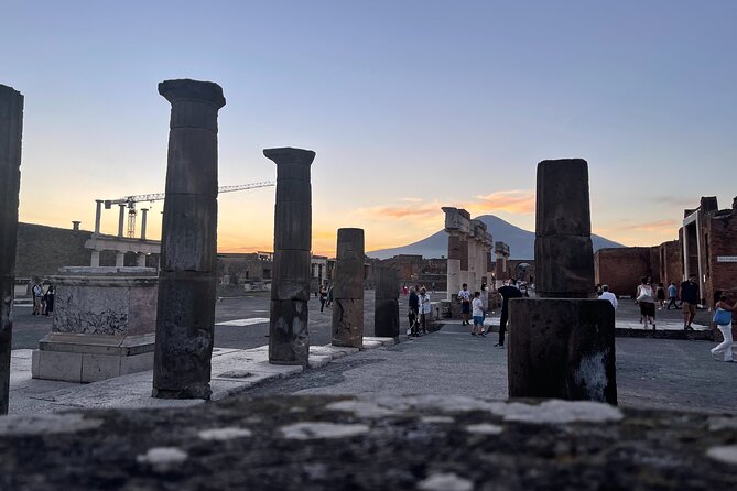 Pompeii & Vesuvius with Lunch & Wine Tasting from Amalfi Coast - Casa Setaro and the Vigna delle Rose finish
